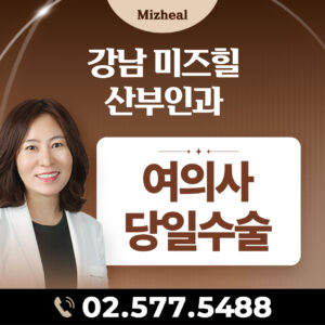 여의사 당일수술