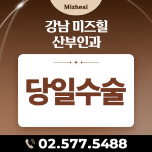 당일수술