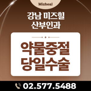 약물중절당일수술